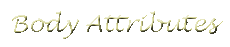 Body Attributes
